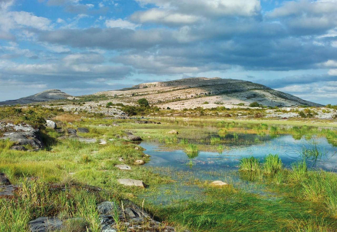 Elfin Cottage Doolin Zewnętrze zdjęcie